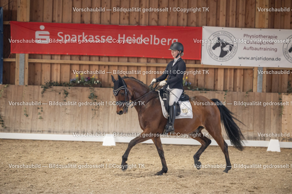 _D5A6016 | Emotionale Pferde- & People-Fotografie rund um Heidelberg, Leimen & Umgebung. Natürliche Fotos von Pferd, Mensch & Familie. Jetzt Termin sichern!