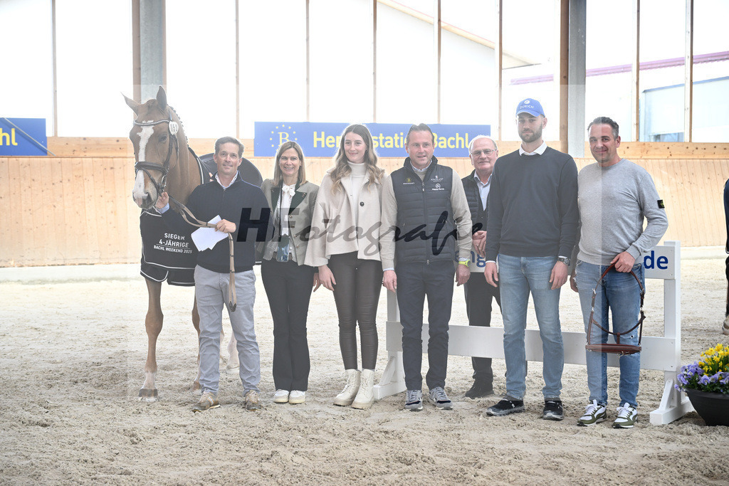 Kat-Nr. 52 Amir VT Z v. Aganix du Seigneur_Neukirch_5251896 | hf-fotografie - Realisiert mit Pictrs.com