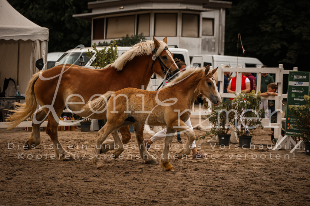 SaHF00050 | Leoni Ertmer Photography - Realisiert mit Pictrs.com