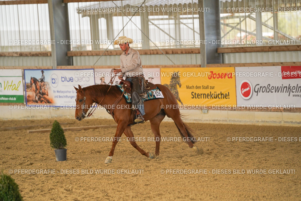 DSC03032 | Pferdegrafie