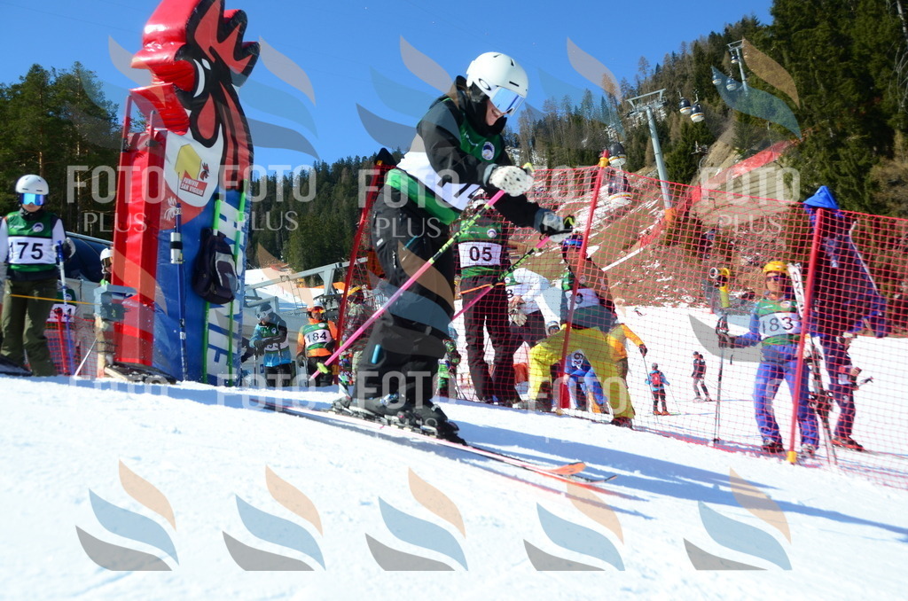 C6336 | holidayphoto