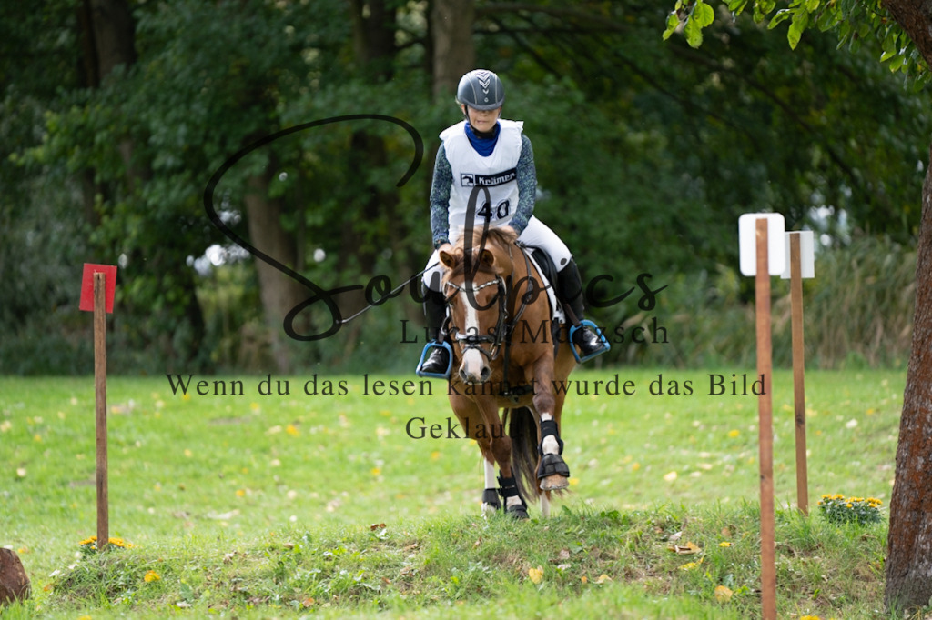 A7V03590 | Pferdefotograf