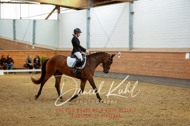 _62_4707 | Turniersportfotografie; Pferdefotografie; Dressurfotografie