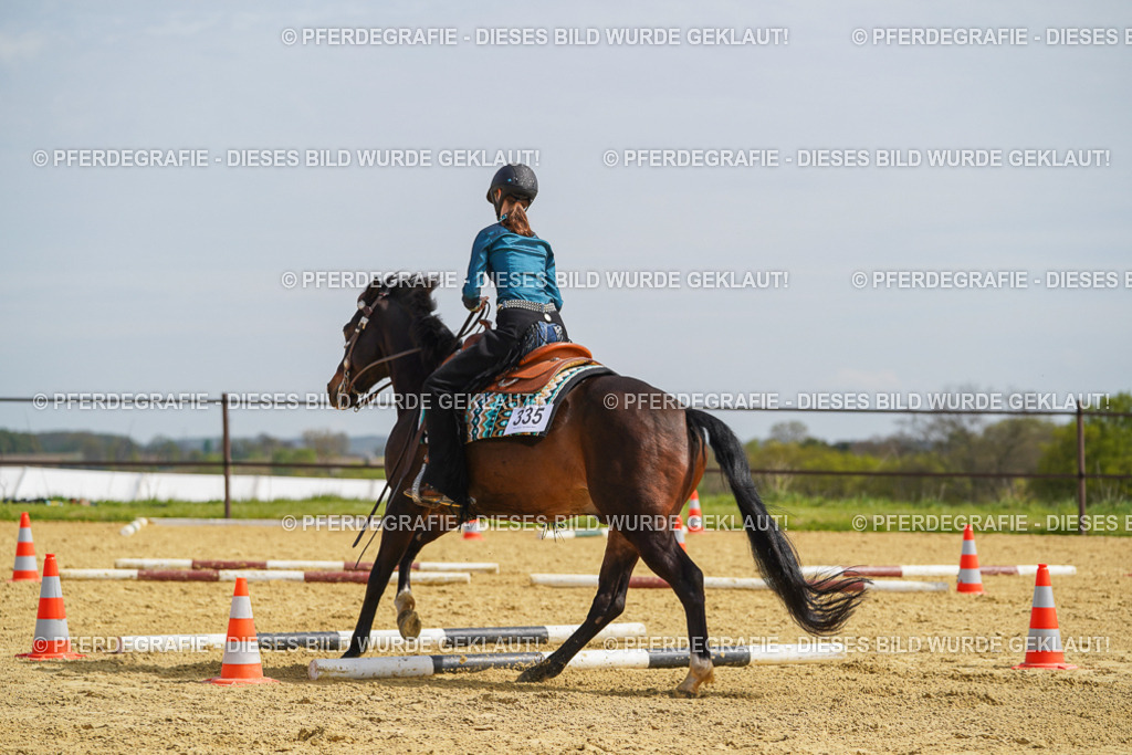 DSC04321 | Pferdegrafie