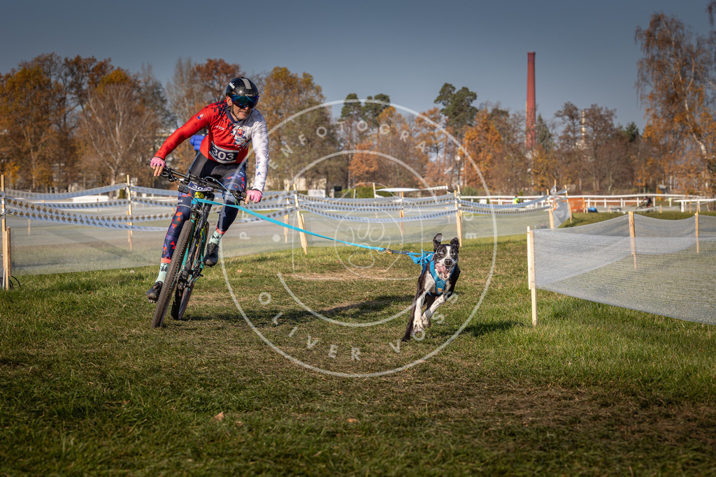 CaniXpix_0L8A7338 | Hundefotografie, Tierfotograf, Pfotenfotografie, Fotoshooting Hund, Hunde Portrait, Hundesport, Hundeportraits, Heideshooting, Hunde, Sportfotograf, Hundefotograf, Turnierhundsport, THS,  - Realisiert mit Pictrs.com