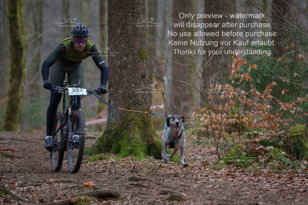 Bike_So-2 | stephaniefillaphotographie - Realisiert mit Pictrs.com