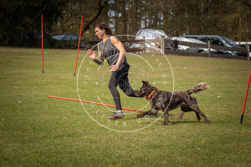 Pfotenfotografie_DV3A7205 | Hundefotografie, Tierfotograf, Pfotenfotografie, Fotoshooting Hund, Hunde Portrait, Hundesport, Hundeportraits, Heideshooting, Hunde, Sportfotograf, Hundefotograf, Turnierhundsport, THS,  - Realisiert mit Pictrs.com