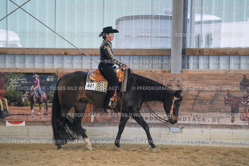 DSC09093 | Pferdegrafie