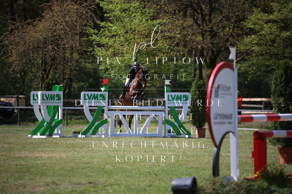 IMGT1116 | pl-fotografie