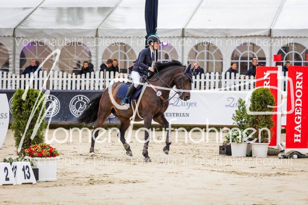 BHO-2PhSpr-M-5-2216 | MomenTaufnahmen Pferdesportfotos