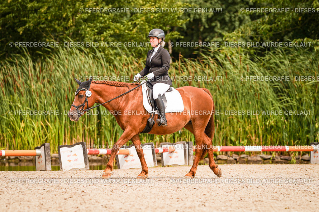 DSC02049 | Pferdegrafie