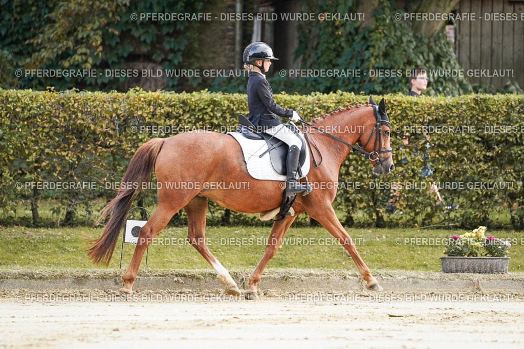 DSC05421 | Pferdegrafie