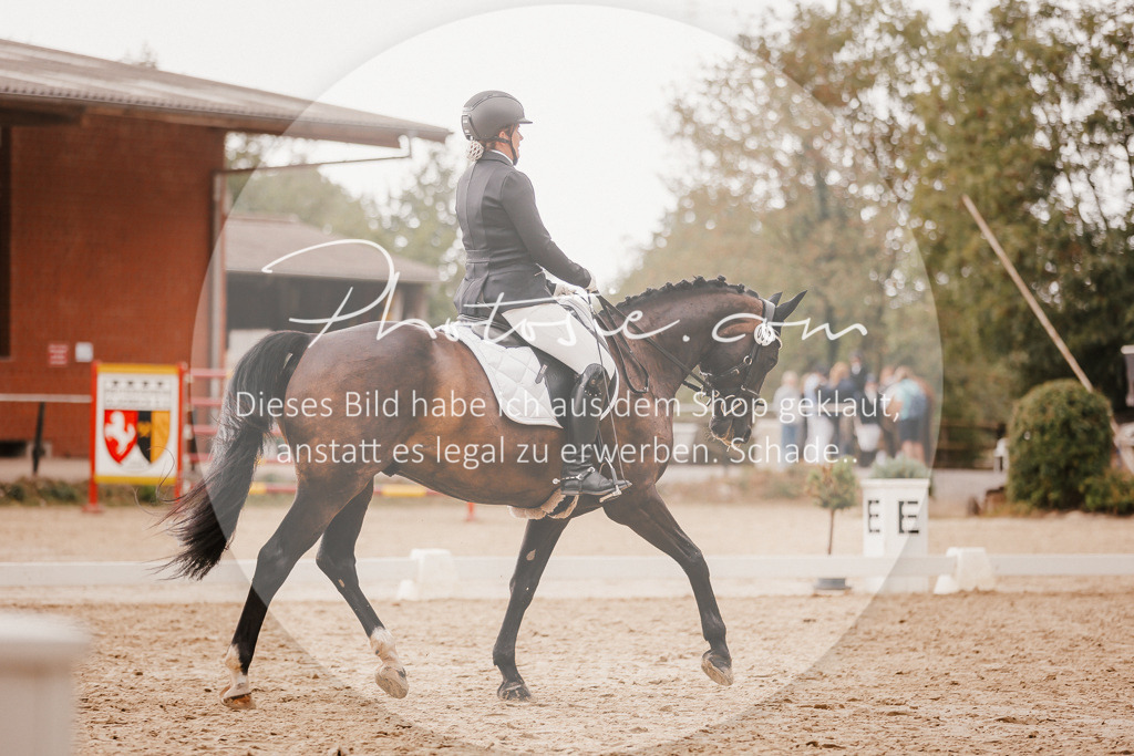 3I6A6360 | Stimmungsvolle Portraits und Reitsportfotografie im Ruhrgebiet und im Münsterland.

Pferdefotografie, Hundefotografie, Tierfotografie, Reportagen, Portraits von Tier und Mensch, Turnierfotografie in Bochum, Recklinghausen, Marl, Haltern am See, Dülmen.. - Realisiert mit Pictrs.com