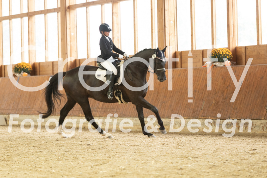 IMG_1686 | Creatify Fotografie