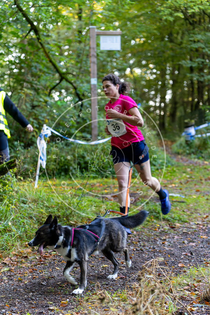 Pfotenfotografie_DV3A6757 | Hundefotografie, Tierfotograf, Pfotenfotografie, Fotoshooting Hund, Hunde Portrait, Hundesport, Hundeportraits, Heideshooting, Hunde, Sportfotograf, Hundefotograf, Turnierhundsport, THS,  - Realisiert mit Pictrs.com