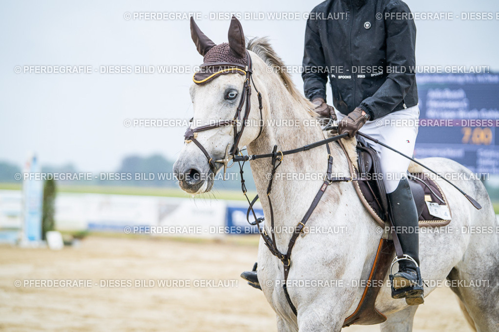 DSC01688 | Pferdegrafie