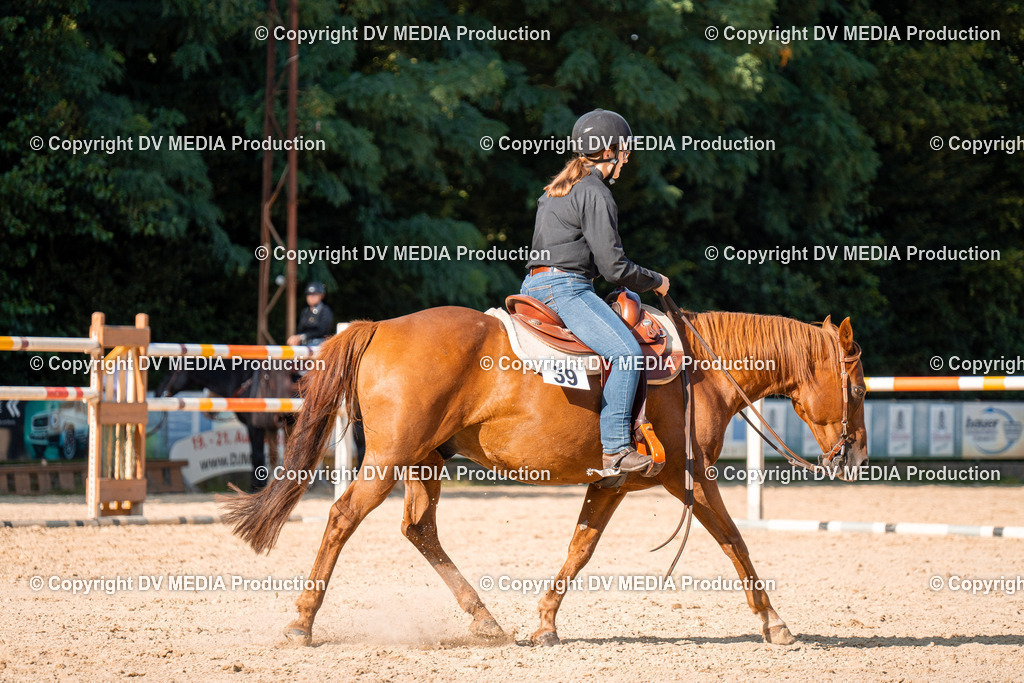 ZH100837 | dv-media-shop - Realisiert mit Pictrs.com