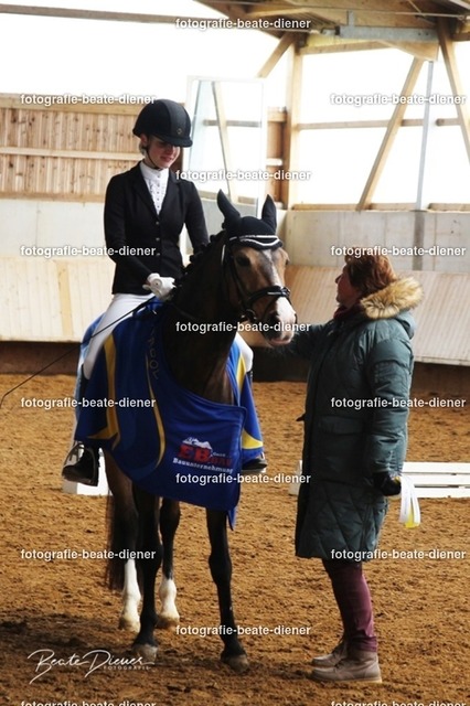 JugendTrophy0451 | Fotografie, Tiere, Hunde, Katzen, Pferde, Sportfotografie, Fotosession, Tierfotografie, Turnierfotografie, Fotografin, Fotograf - Realisiert mit Pictrs.com