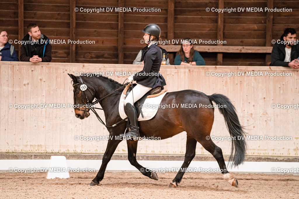 Dressur Tag 2-586 | dv-media-shop - Realisiert mit Pictrs.com