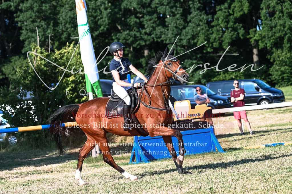 DSC_2696 | Pferde- und Turnierfotografie in Westsachsen. Pferdeportraits, Auftragszeichnungen und intuitive Kunst.