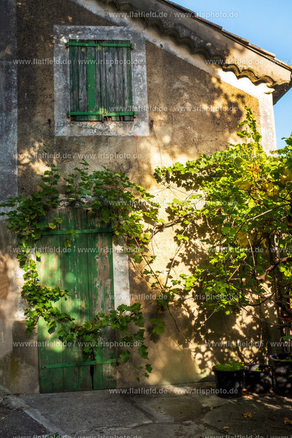 Weinlaube am Haus in der Provence | Straßenfoto | Kleine Stadt in der Provence | Fotografie aus der Provence