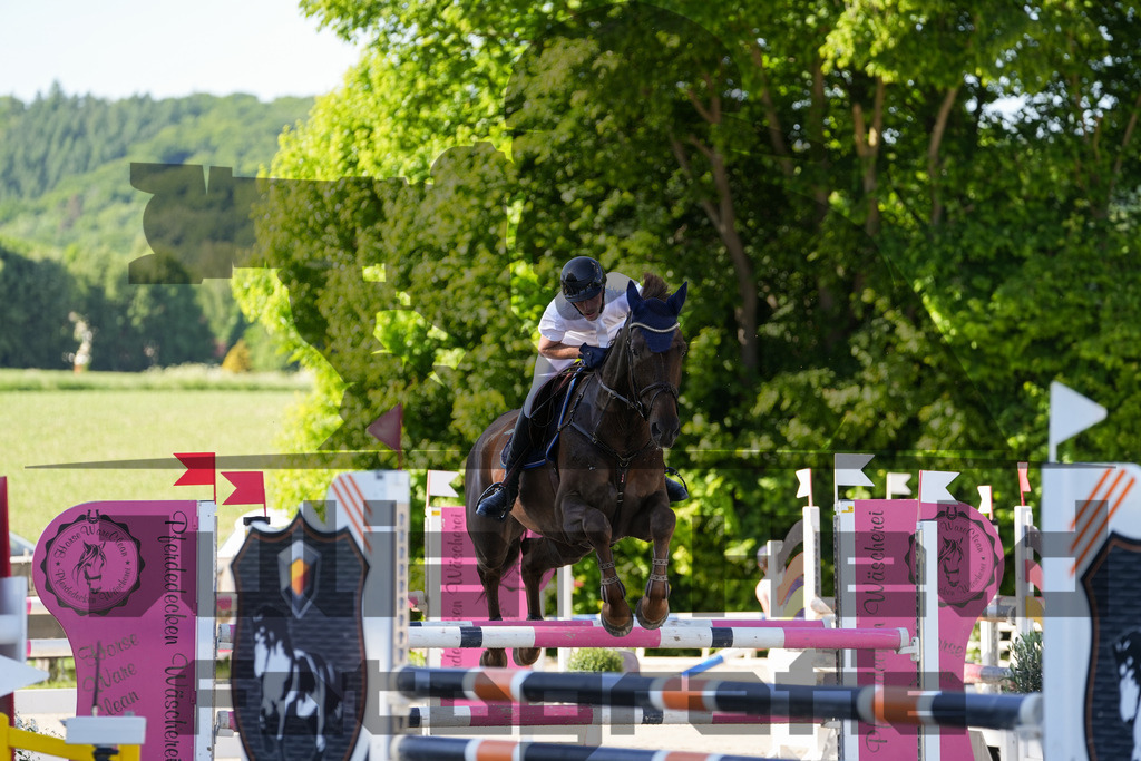 DSC02459 | Julian Held Fotografie - Realisiert mit Pictrs.com