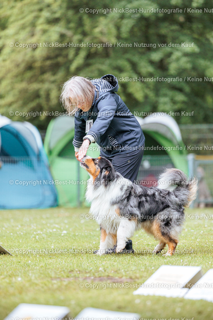 RO-Blumenthal-2026-Nickbest-Hundefotografie-4383 | Dein Hund! Dein Moment! Deine Erinnerungen! Hundefotografie in Bremen Blumenthal. Ich fange die besonderen Momente deines Vierbeiners ein – ob Indoor mit Blitzanlage oder in der freien Natur. Sicher dir dein Moment und dein Termin für eure Erinnerungen.