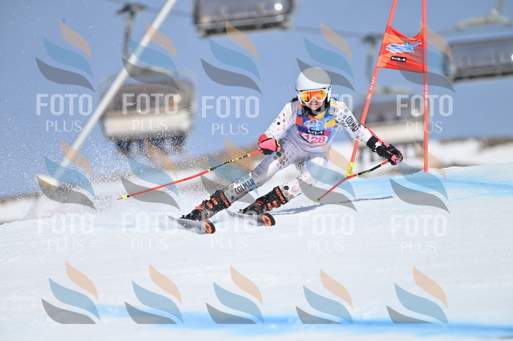 BGV_9945 | holidayphoto