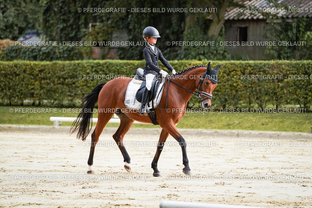 DSC03874 | Pferdegrafie