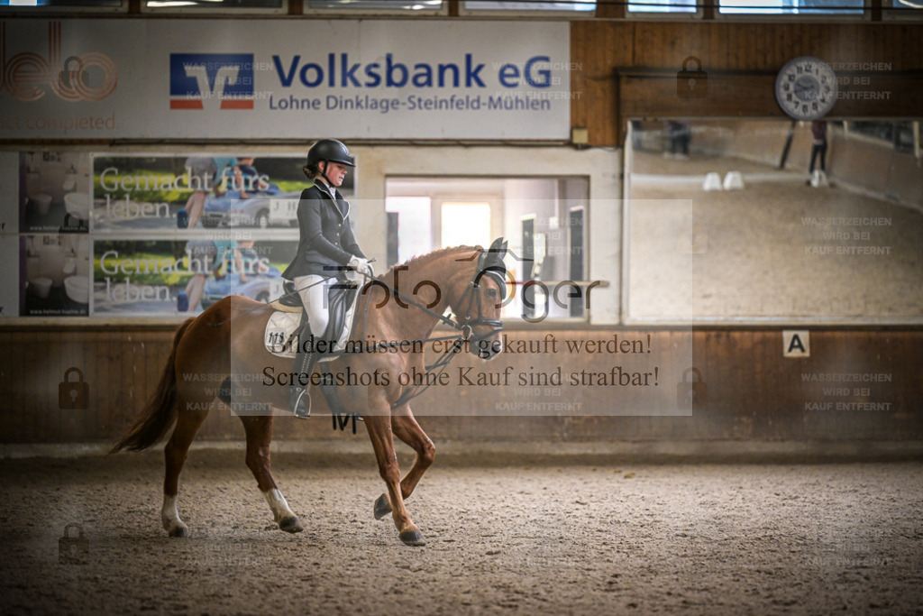 DOS_0544 | Entdecke hochwertige Reitturnierfotos von Foto Oger. Professionell, emotional und authentisch – jetzt Lieblingsmomente im Shop bestellen. - Realisiert mit Pictrs.com