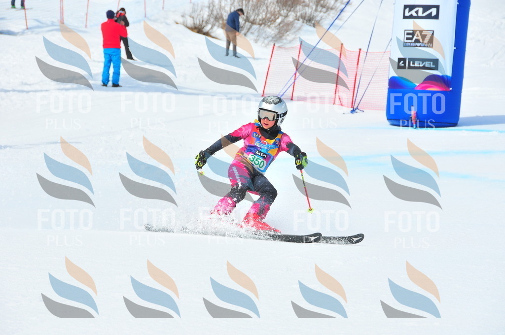 DSC_3146 | holidayphoto