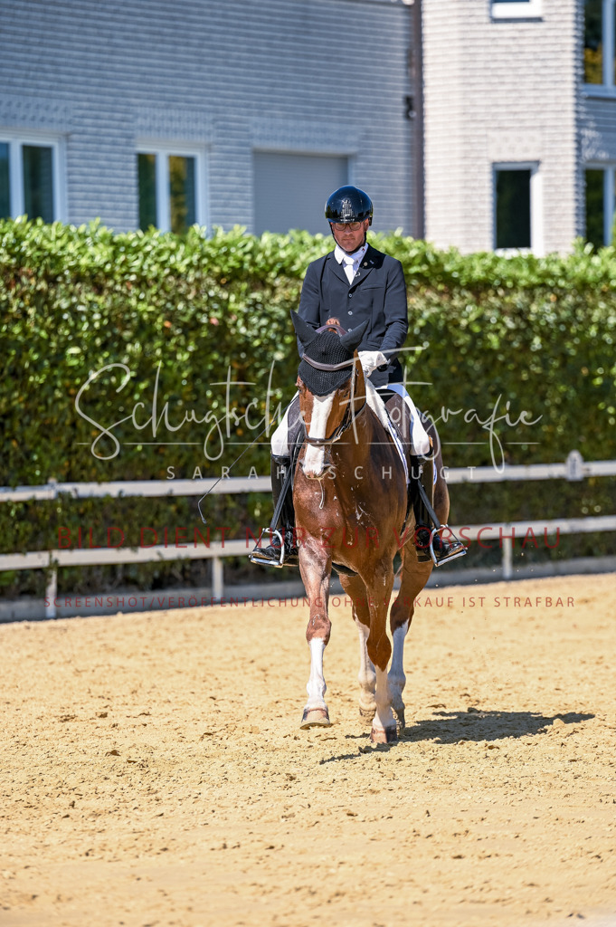 Schugtsche-Aluta25-50.Dressurpferdeprf.L-7 | Schugtsche Fotografie - Realisiert mit Pictrs.com