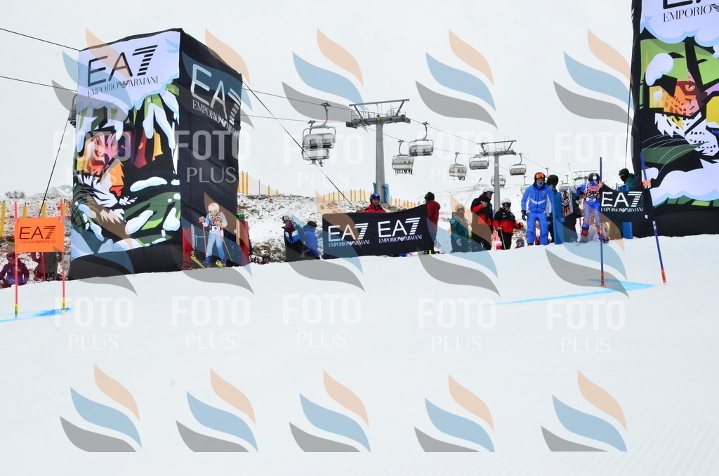 _ELE3166 | holidayphoto