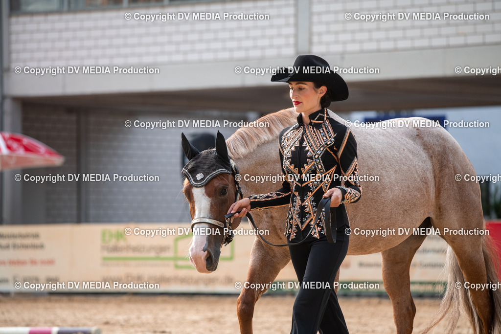 EWP_5617 | dv-media-shop - Realisiert mit Pictrs.com