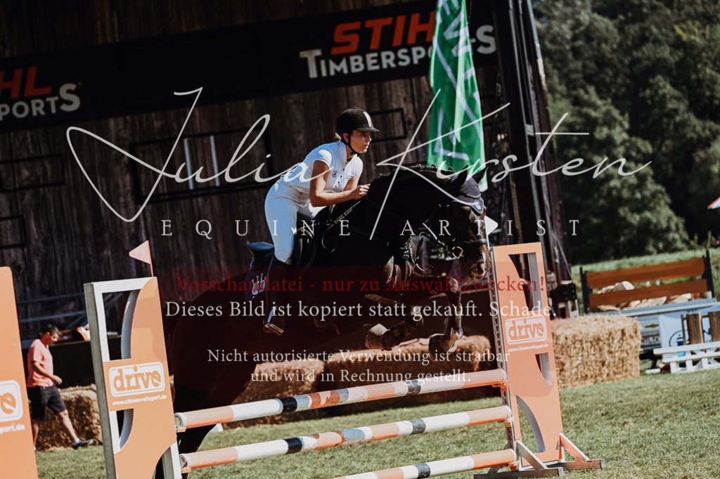 DSC_6729 | Pferde- und Turnierfotografie in Westsachsen. Pferdeportraits, Auftragszeichnungen und intuitive Kunst.