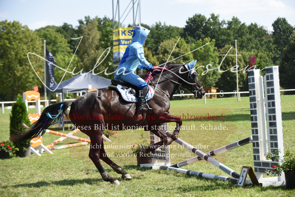 DSC_0226 | Pferde- und Turnierfotografie in Westsachsen. Pferdeportraits, Auftragszeichnungen und intuitive Kunst.