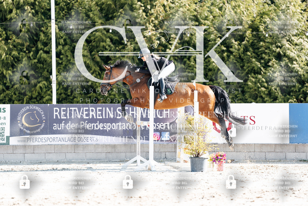 CK902546 | Turnierfotografie Pferdefotografie Trier Rheinland-Pfalz Pferdesport Reitsport Tierfotografie Sportfotografie Pferdevideo Pferdevideografie Equestrianvideography equestrianphotography  - Realisiert mit Pictrs.com