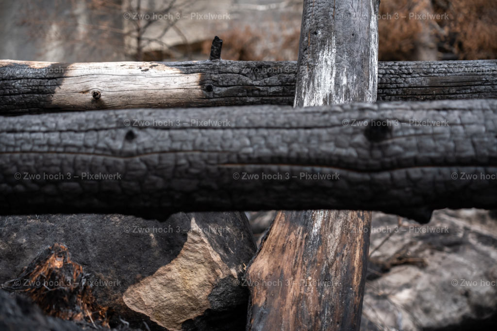 Obere_Affensteinpromenade_Baumstamm_Waldbrand_Unschaerfe | 2022-09-02_Waldbrandgebiete_2 - Realisiert mit Pictrs.com