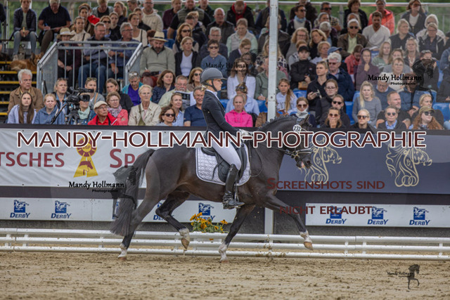 RPF 4j H (290 von 1519) | mandyhollmannphotographie