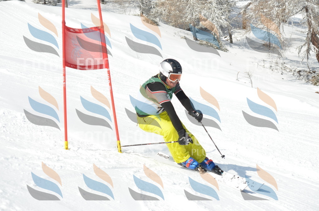 D8948 | holidayphoto