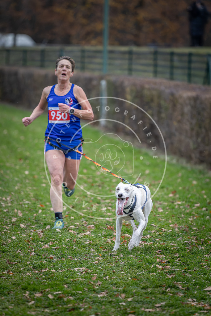 CaniXpix_DV3A7329 | Hundefotografie, Tierfotograf, Pfotenfotografie, Fotoshooting Hund, Hunde Portrait, Hundesport, Hundeportraits, Heideshooting, Hunde, Sportfotograf, Hundefotograf, Turnierhundsport, THS,  - Realisiert mit Pictrs.com