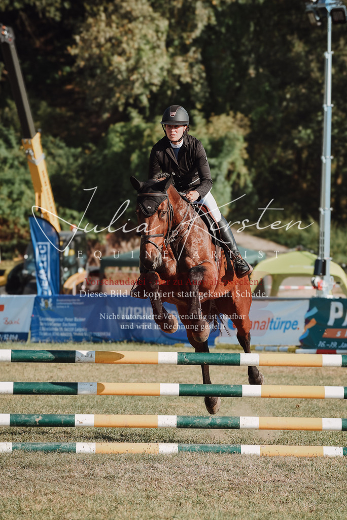 DSC_5185 | Pferde- und Turnierfotografie in Westsachsen. Pferdeportraits, Auftragszeichnungen und intuitive Kunst.