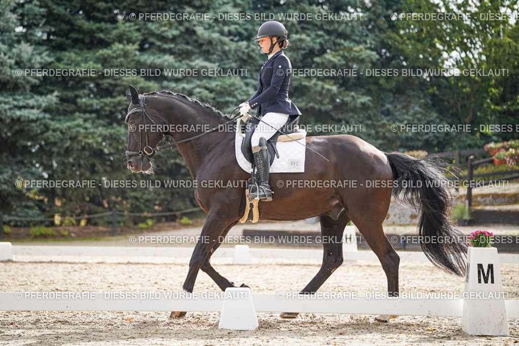 DSC00967 | Pferdegrafie