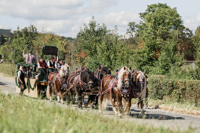 7V6A2851 | natalia-nirschl-photography