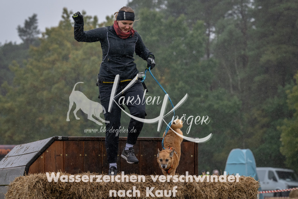 1300--13 | kk-dogfotos