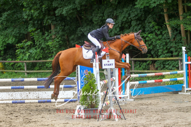 DKP45061 | Turnierfotos kaufen im Webshop von Daniel Kuhl Photography – entdecke professionelle Reitsportfotos aus Turnieren & Events. Hochwertige Turnierbilder online bestellen & sichern. Jetzt Fotos von Reitsportturnieren kaufen!