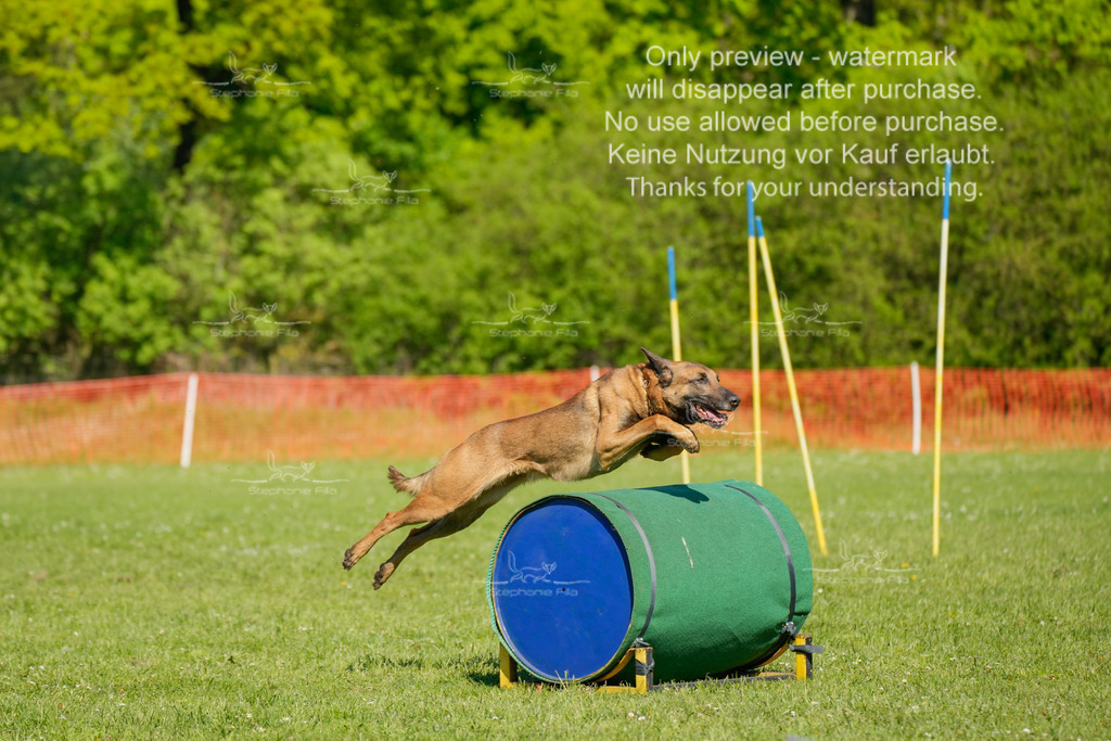 Sa_CSC-104 | stephaniefillaphotographie - Realisiert mit Pictrs.com