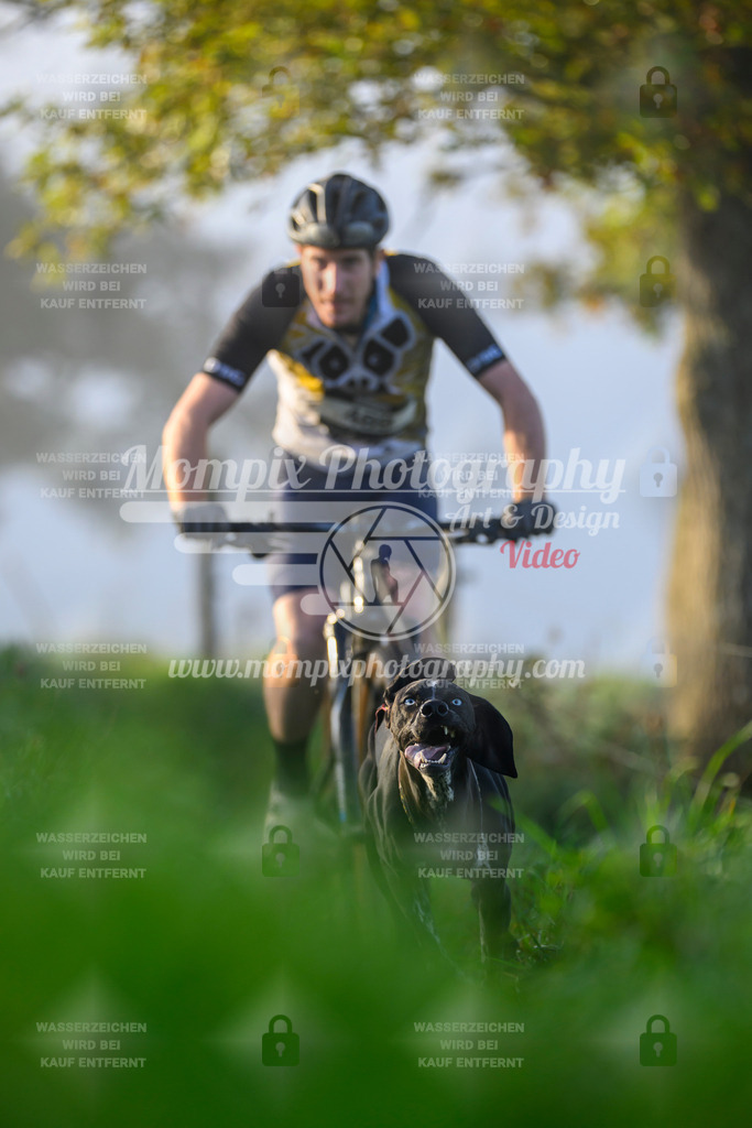 MompixPhotography_20TSB_E3_Bike-9 | PayLife