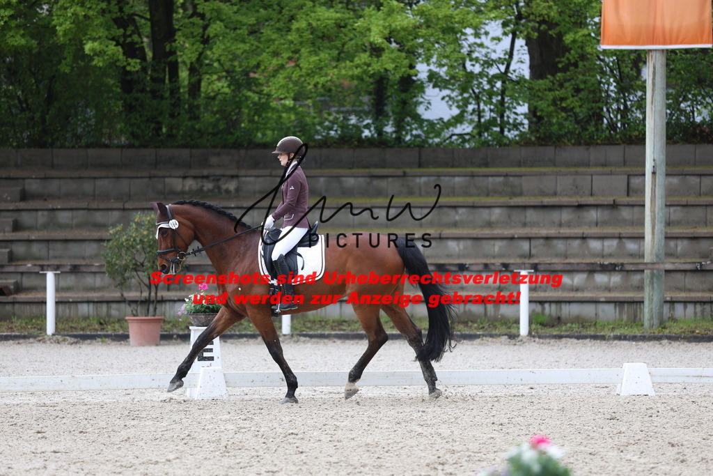 A40A8489 | lmwpictures - Realisiert mit Pictrs.com