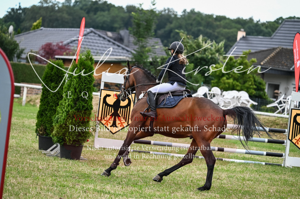 DSC_8464 | Pferde- und Turnierfotografie in Westsachsen. Pferdeportraits, Auftragszeichnungen und intuitive Kunst.